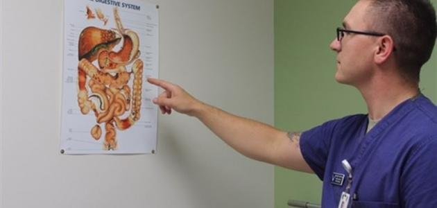 أمراض الجهاز الهضمي: الأسباب، الأعراض، والعلاج 4 أمراض الجهاز الهضمي