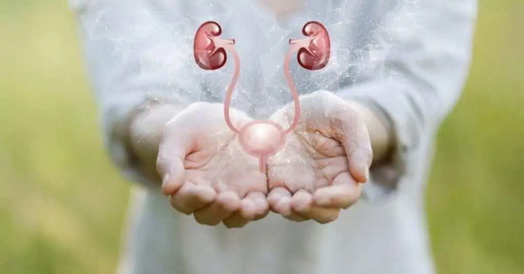 سلس البول عند كبار السن - الأعراض والأسباب 25 سلس البول عند كبار السن